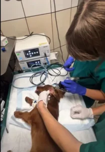 zabiegi chirurgiczne w gabinecie